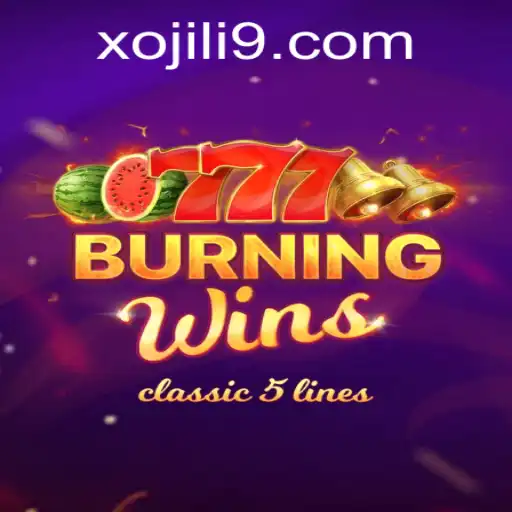Unveiling the Exciting World of BurningWins with Xojili