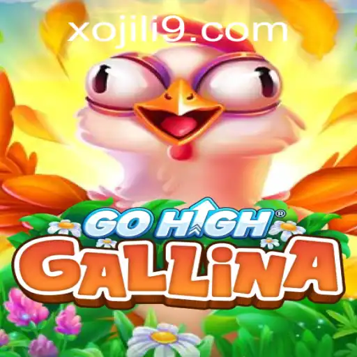 Exploring the Enigmatic World of GoHighGallina